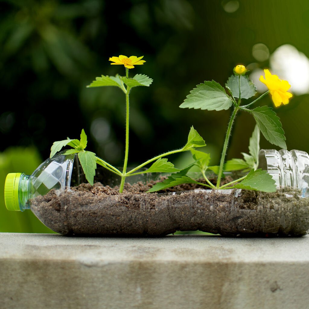 Plants growing out of a repurposed plastic bottle with a yellow flower in a garden setting.