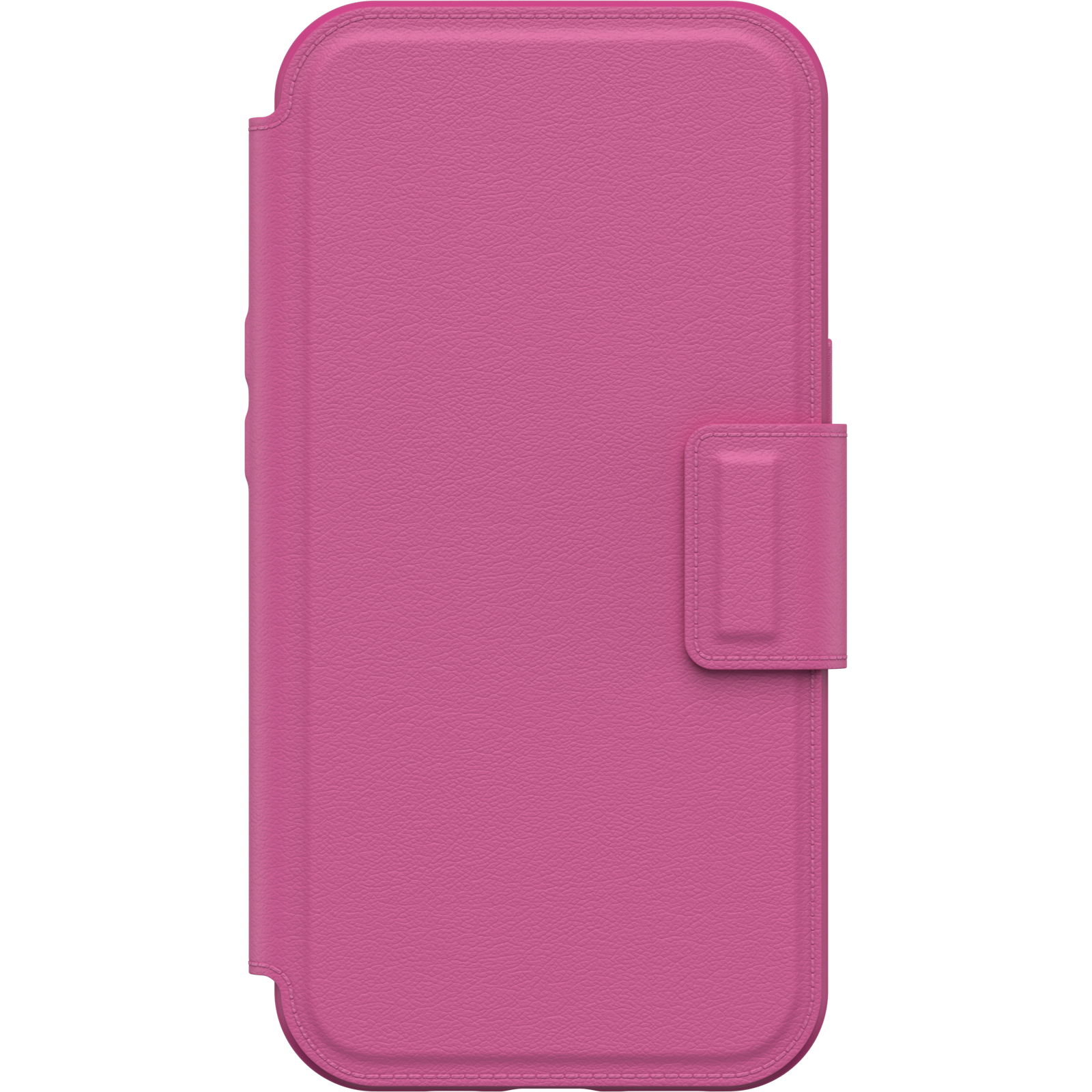 iPhone 13 and iPhone 13 Pro Folio for MagSafe - Image 13269
