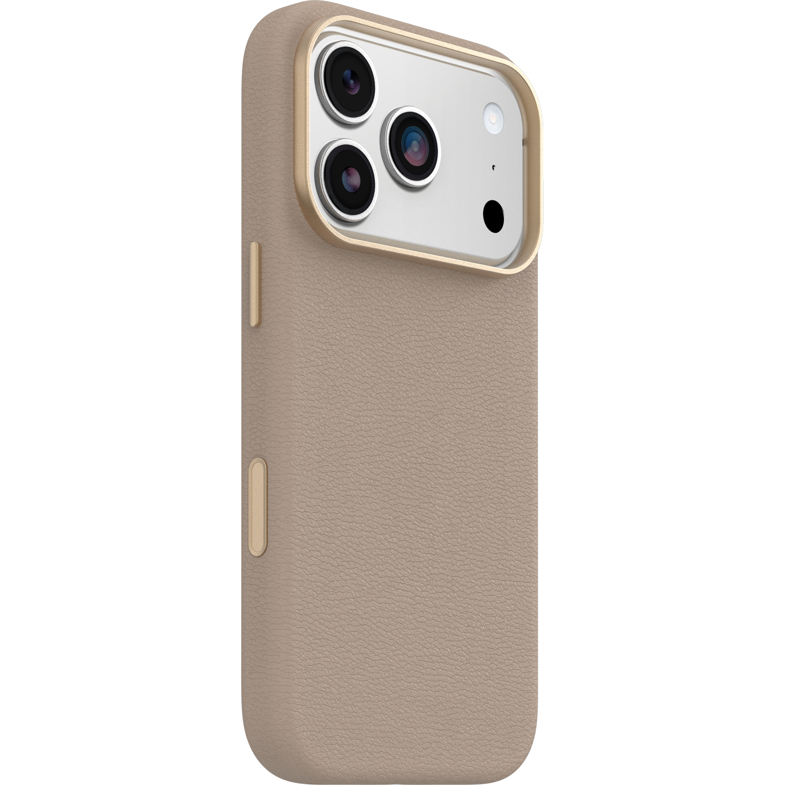 iPhone 17 Pro Symmetry Series Cactus Leather Case - Image 12451