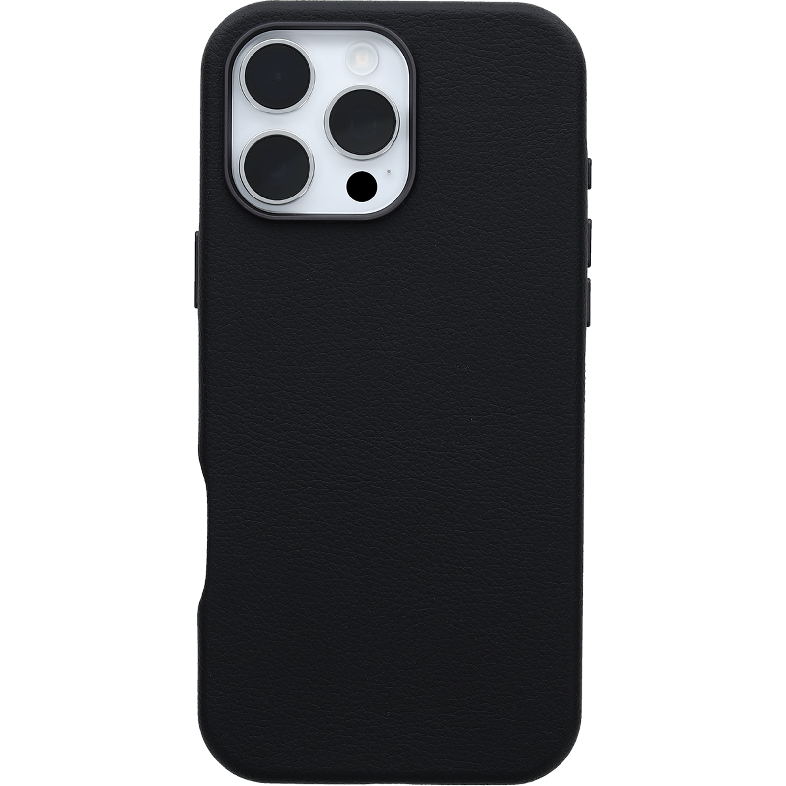 iPhone 16 Pro Max Symmetry Series Cactus Leather for MagSafe Case - Image 27334