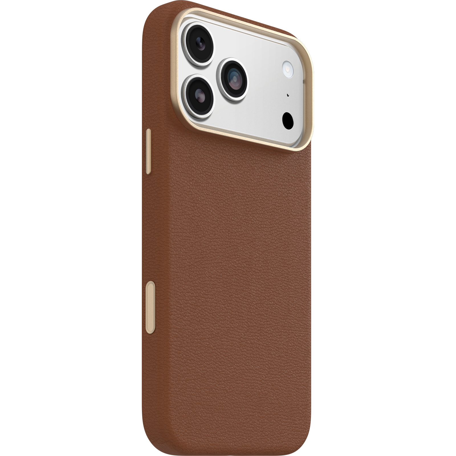 iPhone 17 Pro Max Symmetry Series Cactus Leather Case - Image 12484