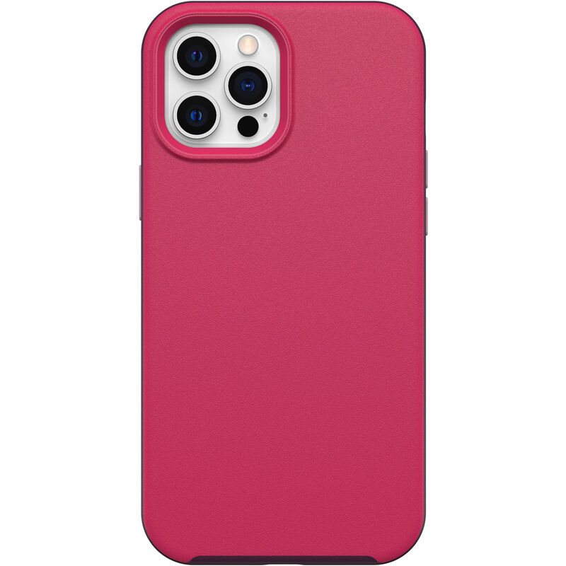 product image 1 - iPhone 12 Pro Max Case with MagSafe Aneu Series