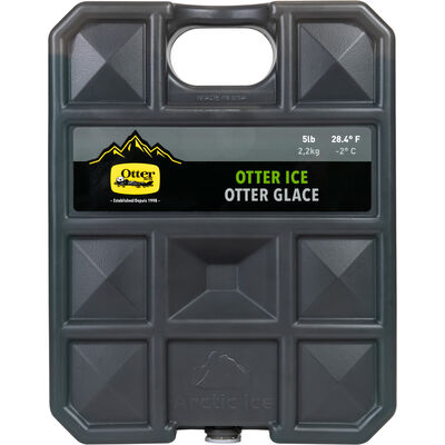 Ice Pack Cooler Accessory